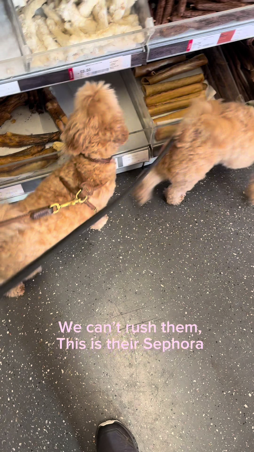 @MilneandMutt