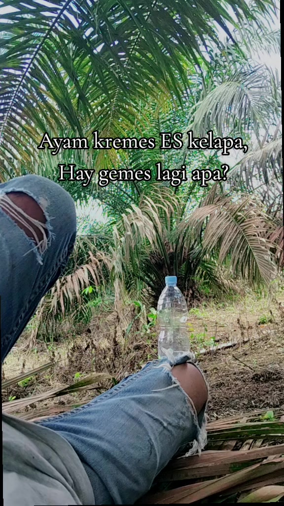 @Ginok