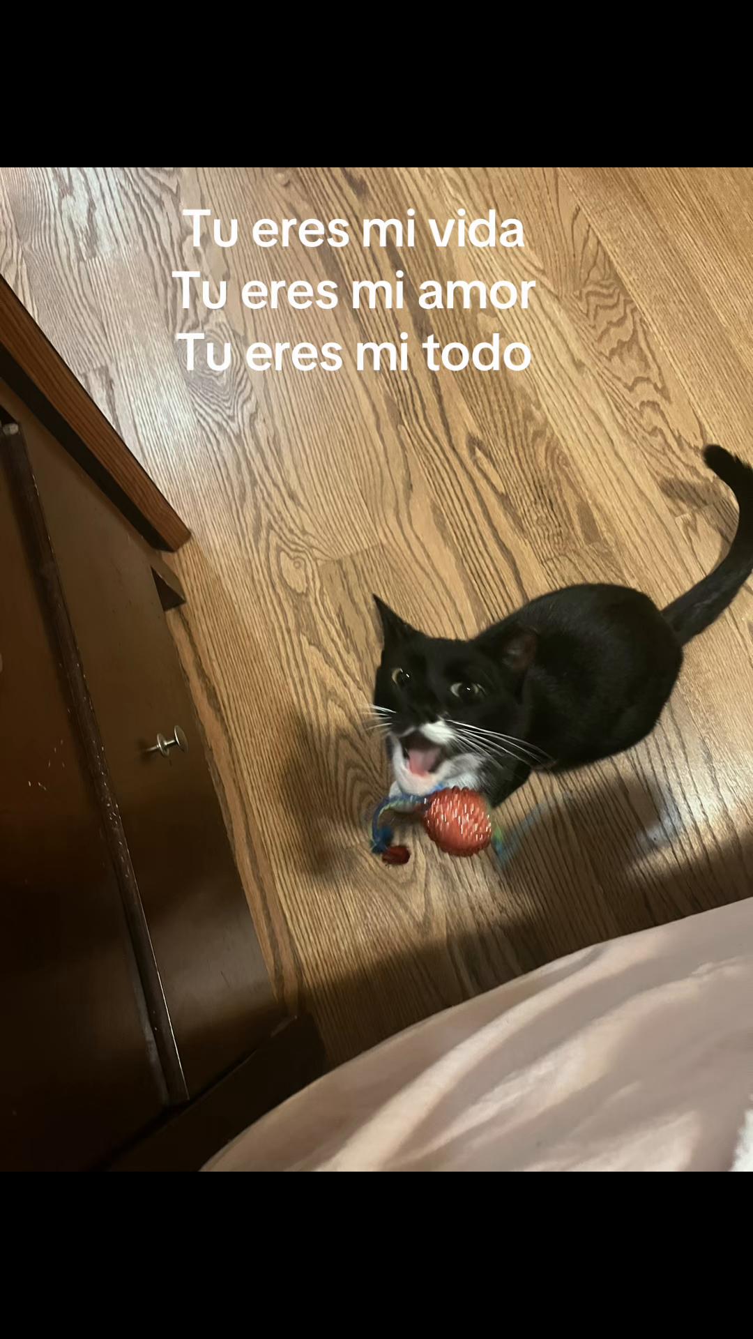 @Alepalacios105