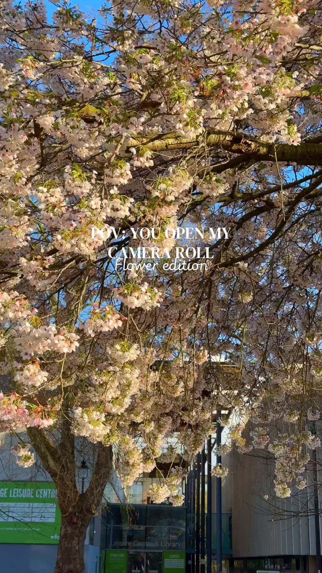 @explore.beyondborders