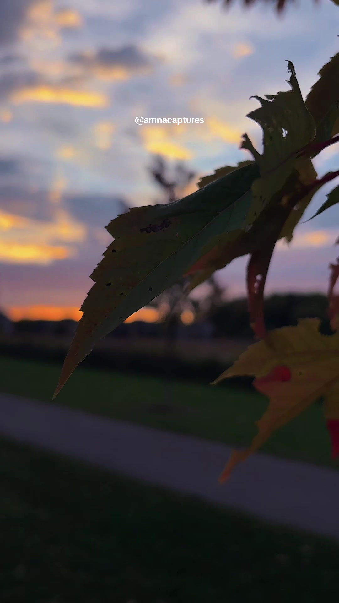 @Nature lover 🇨🇦