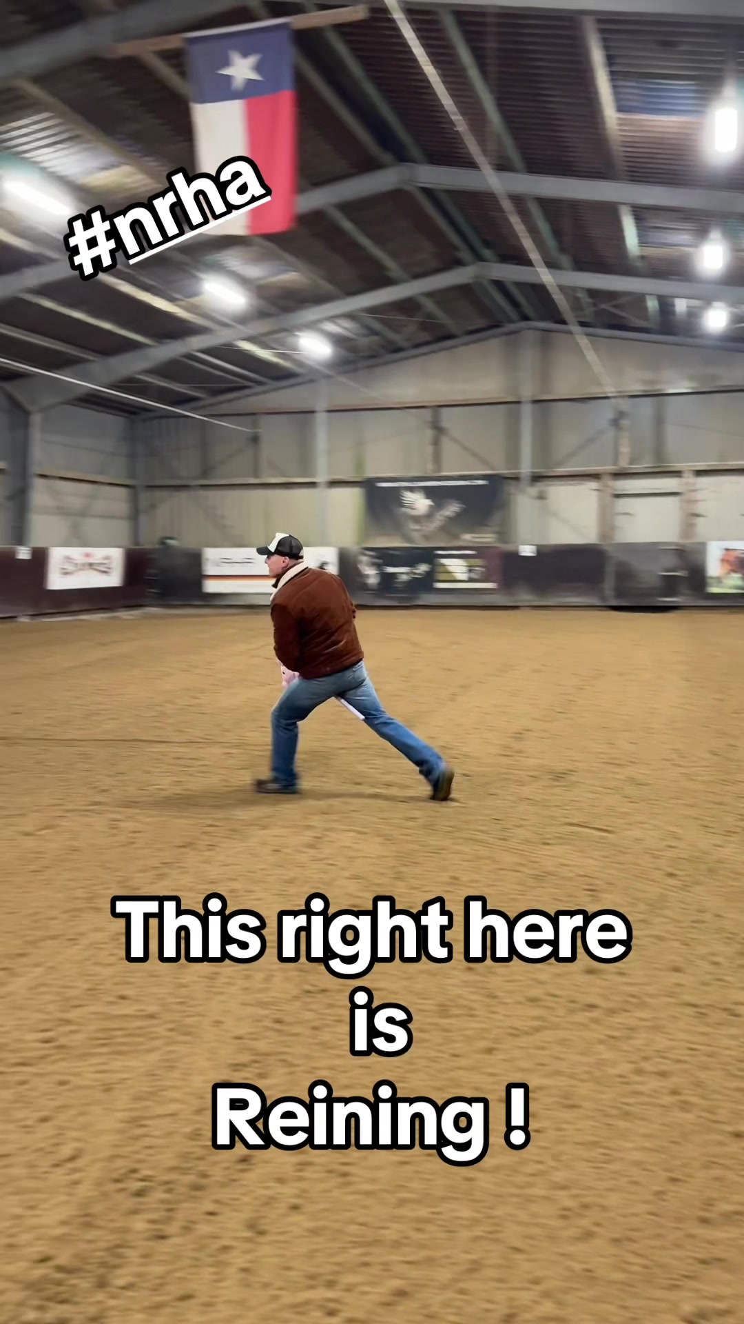 @Nebel Performance Horses