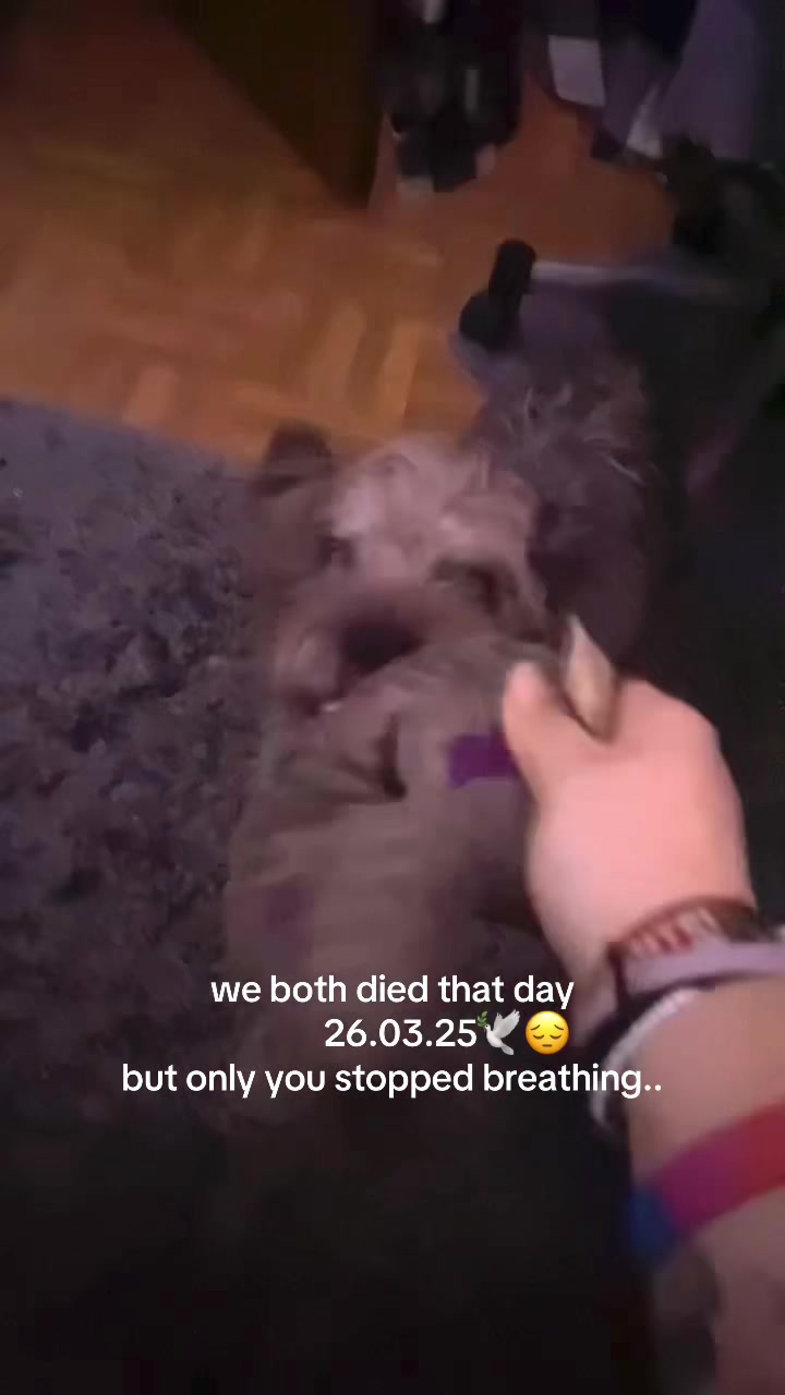 @trytostay0