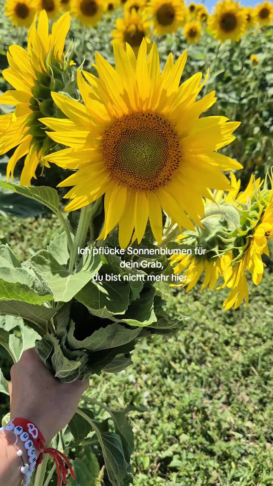 @Eva