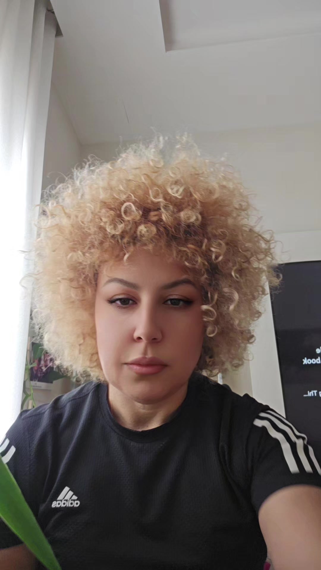 @fabibullati
