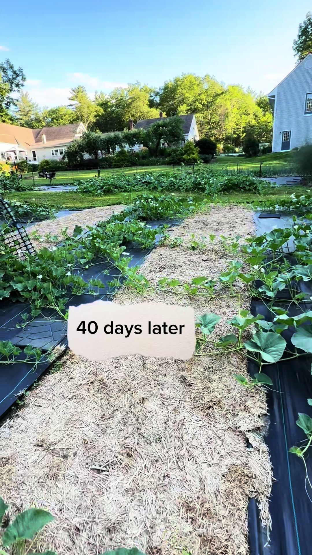 @Gourdfarmer