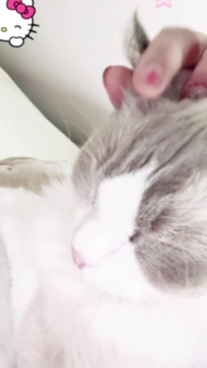 @nekoðŸnyanko