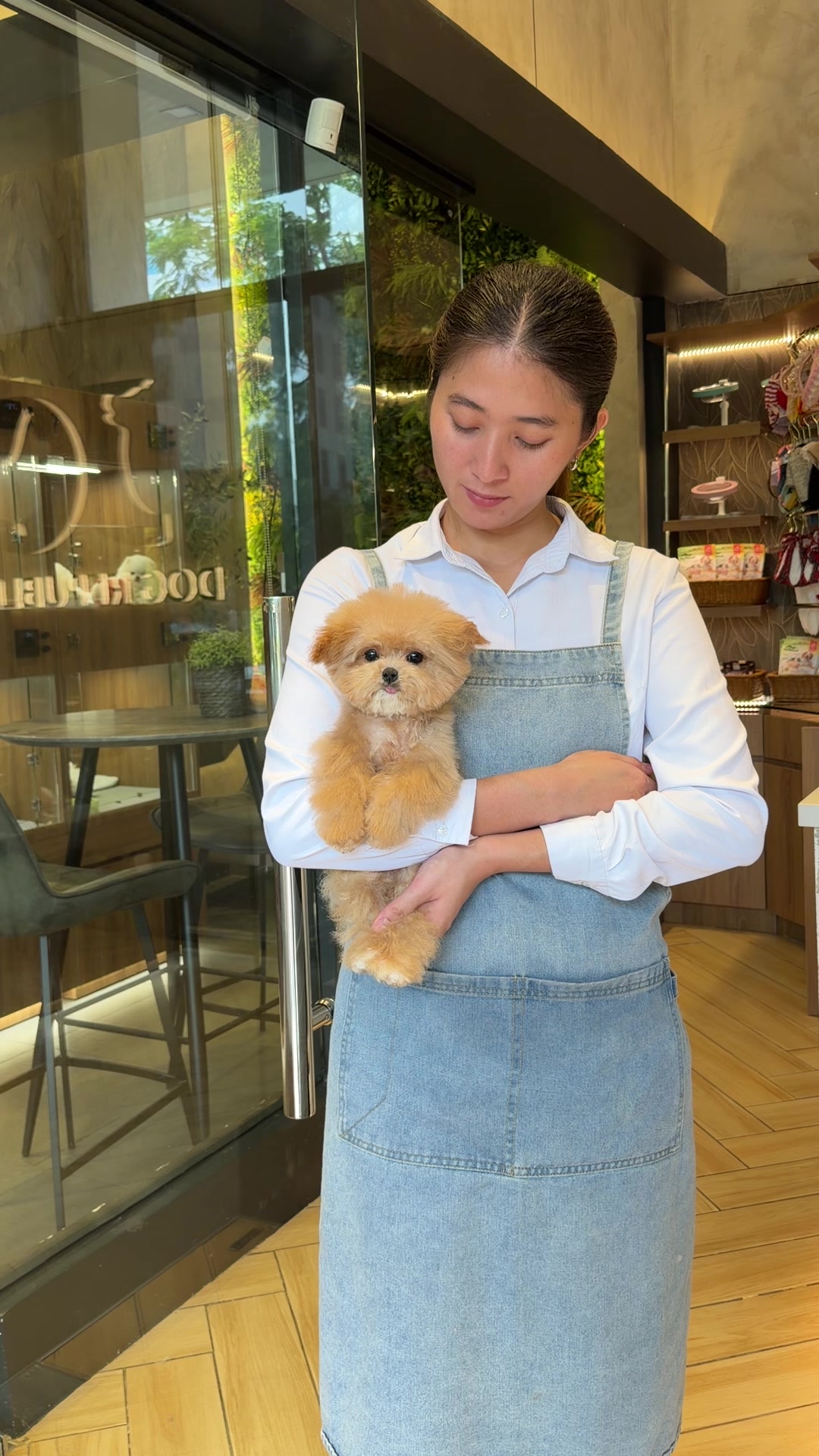 @JC Dog Republic