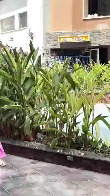 @shivus_official🐣