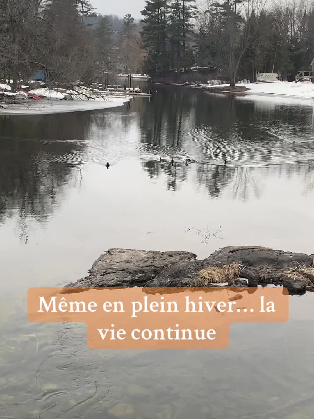 @Marlène