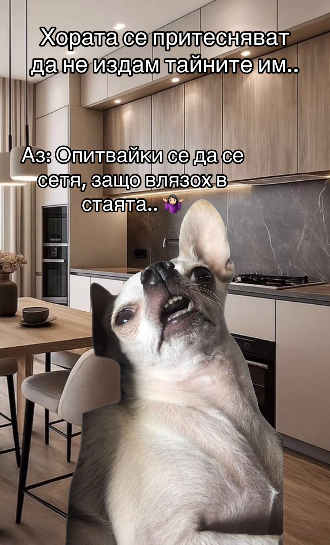 @Десислава Ганчева