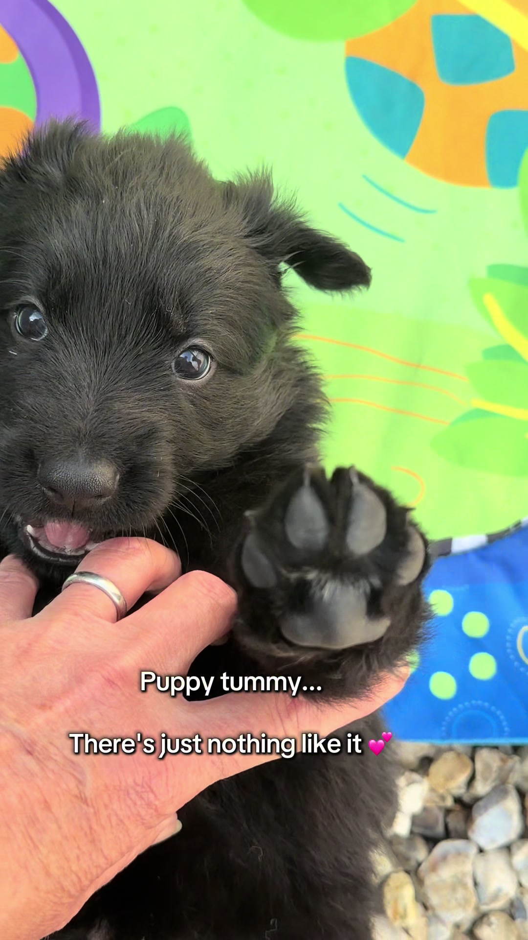 @TheGSDhubwithjennygould