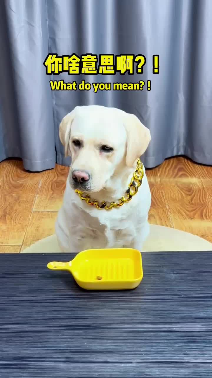 @dogadoption