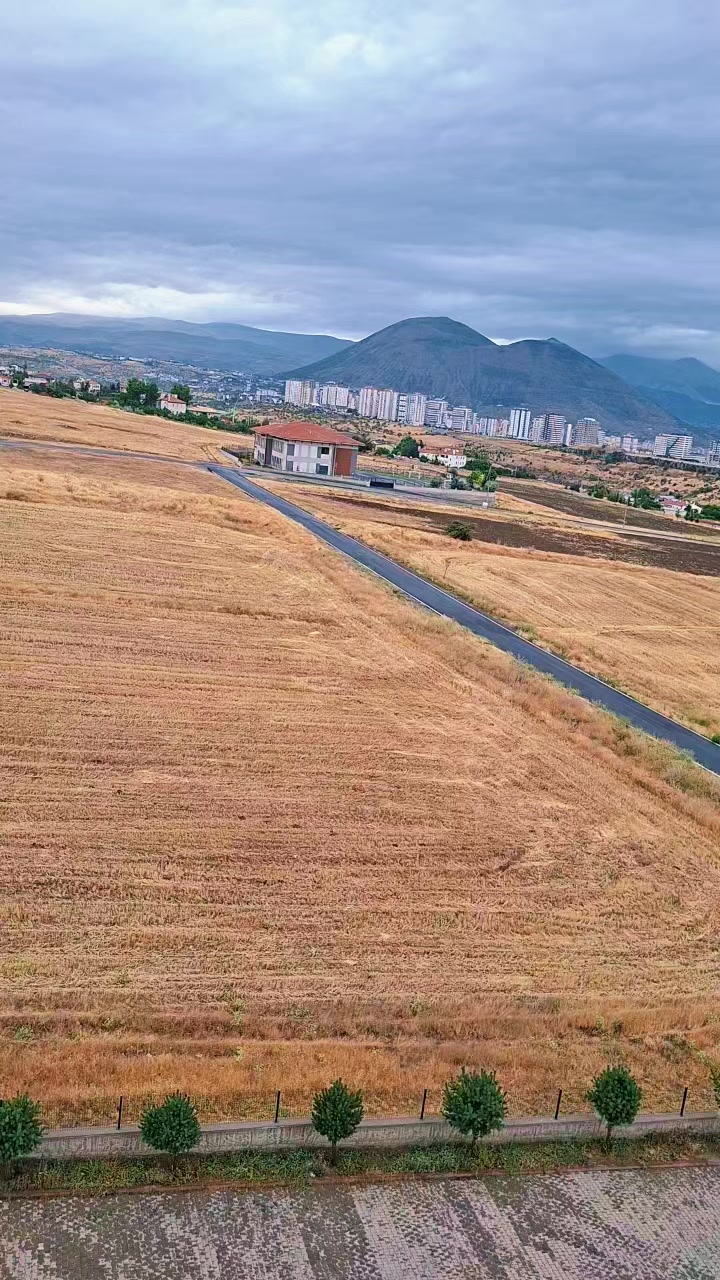 @davutardic