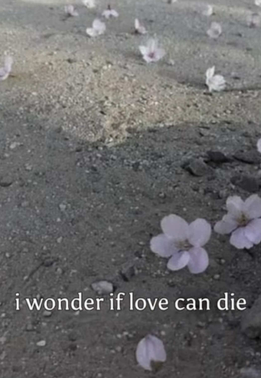 @່
