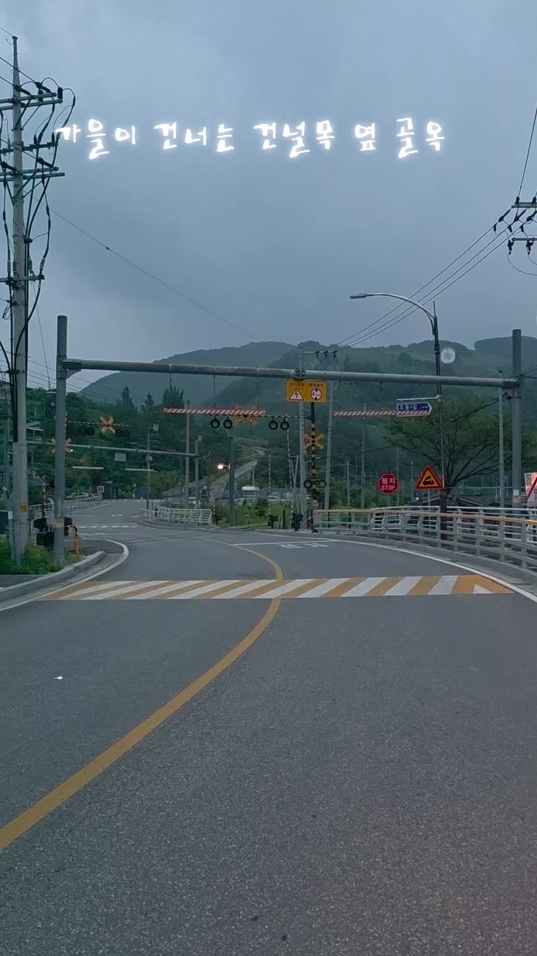 @유튜브 "정선사람들" 안용현