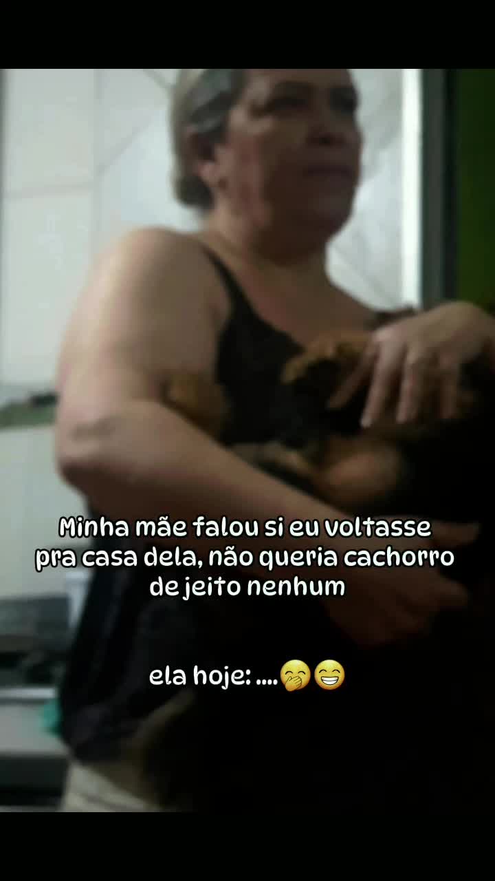 @Mayara Belforti