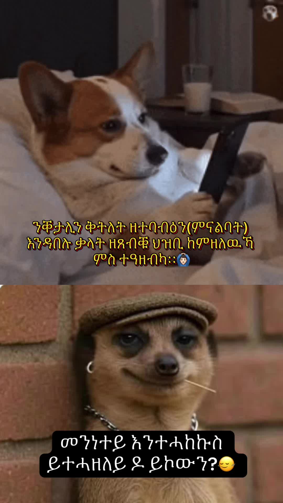 @𝓢𝓲𝓮𝓶