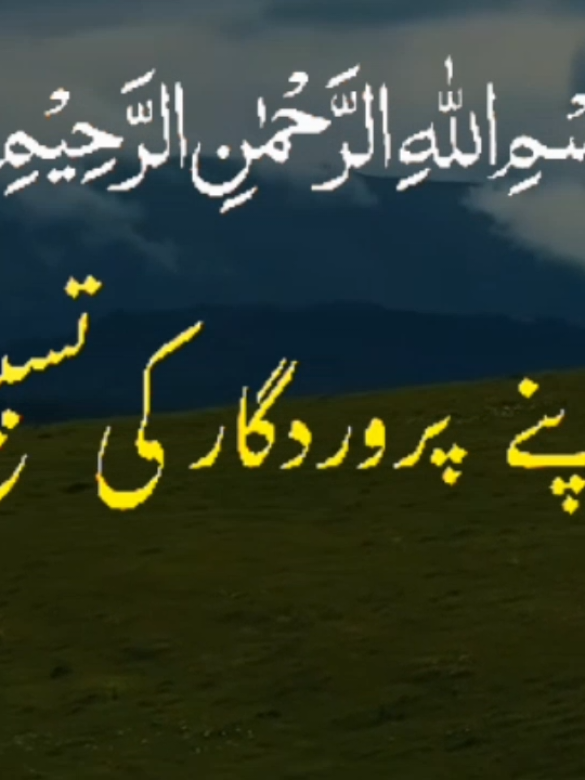 @❤️ALLAH Aalmin❤️