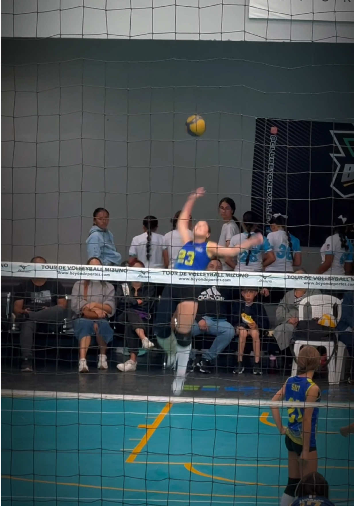 @Isabella Amaya Volley 23