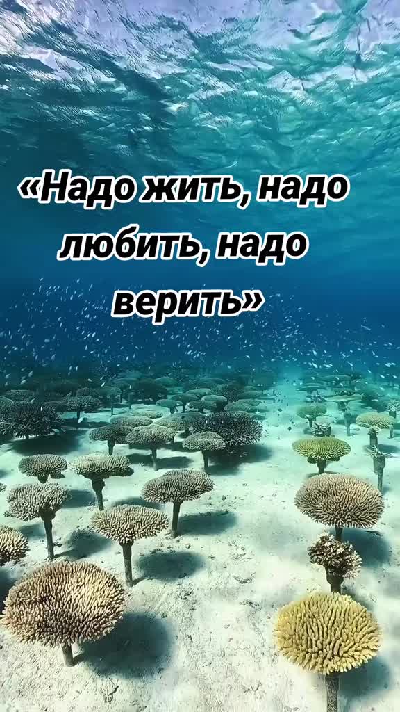 @🇬🇷🐳НАТАЛИ🔥🇷🇺