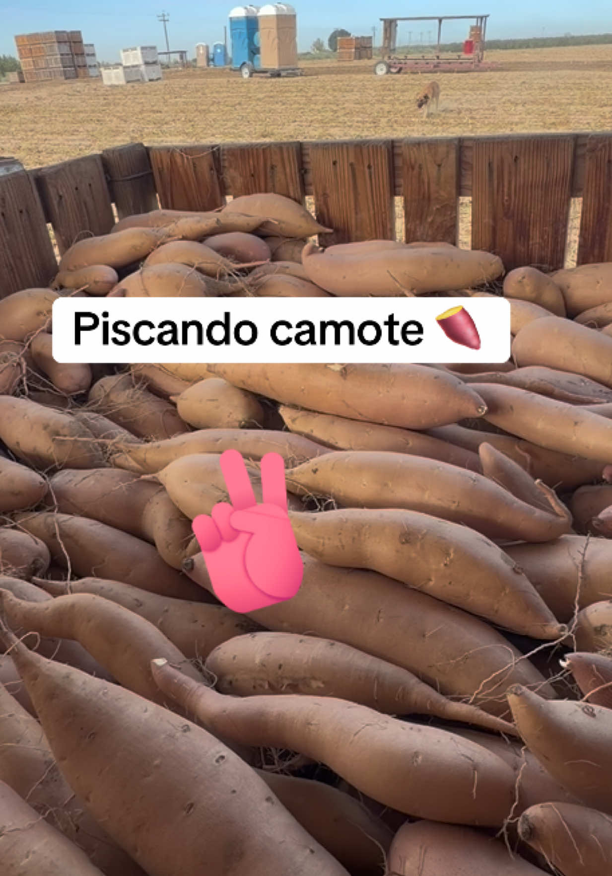@rosyruizhernandez