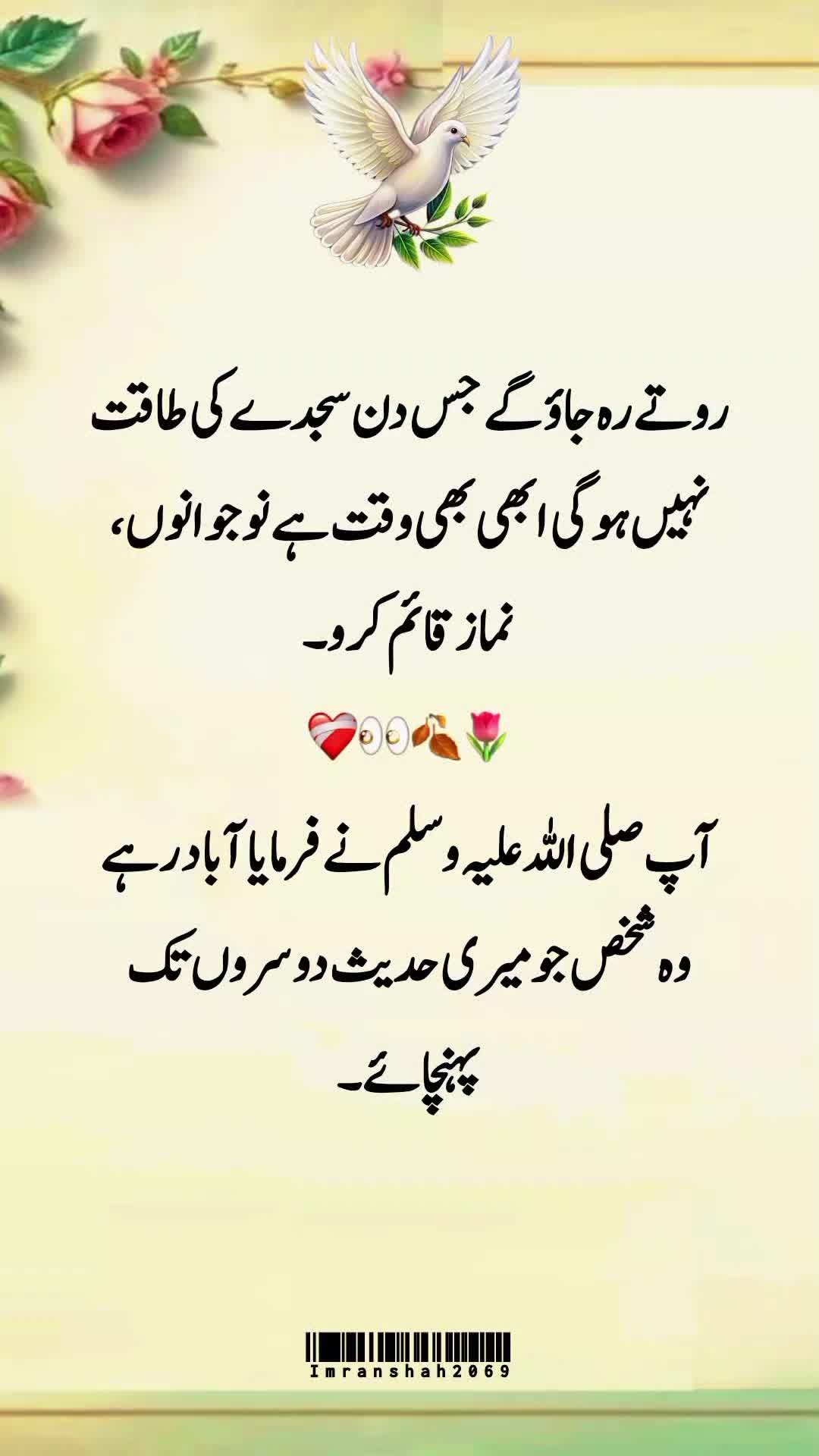 @imran shah