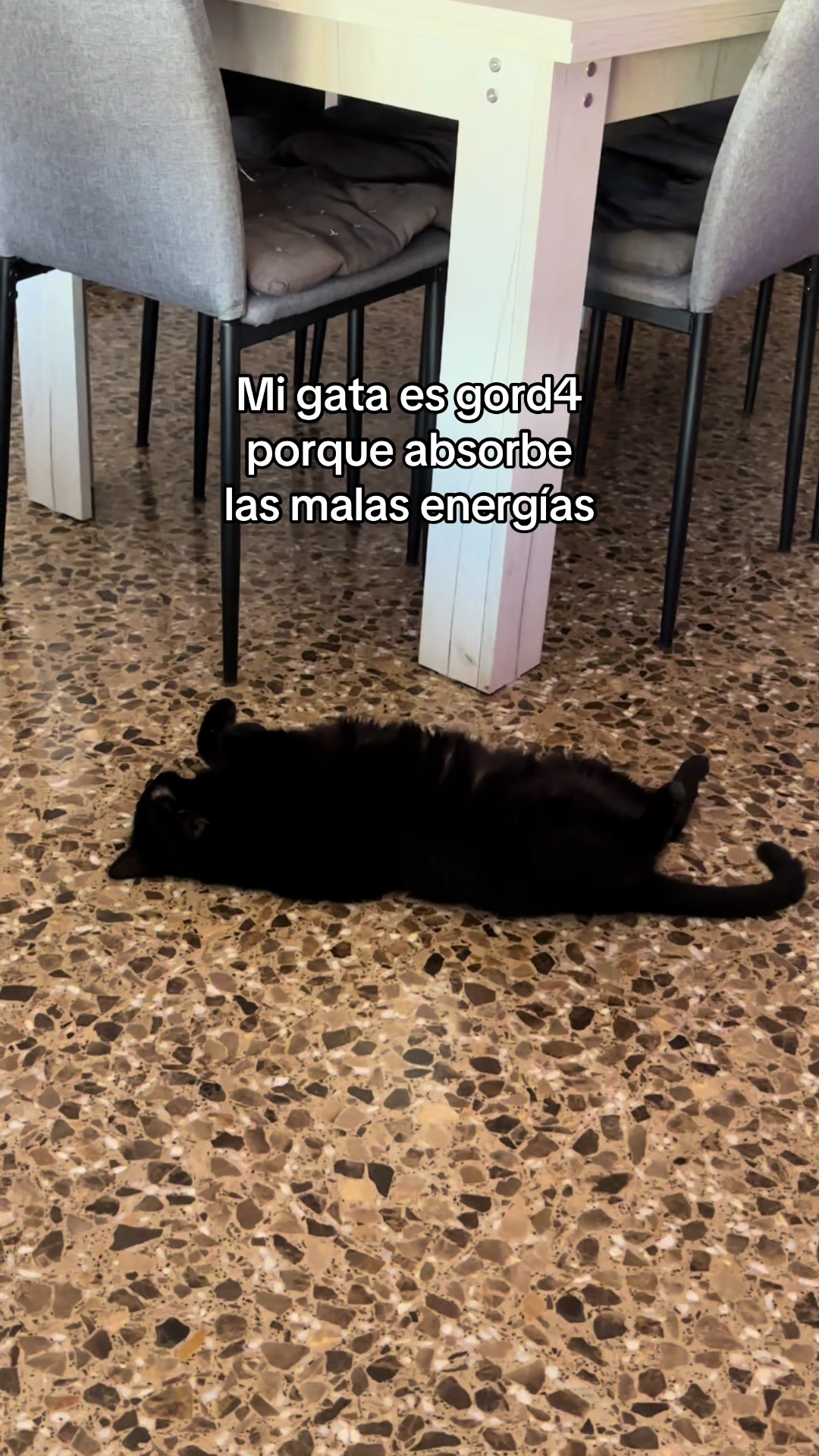 @BlackCatsMatter
