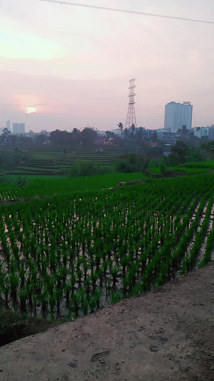 @teh Nanda