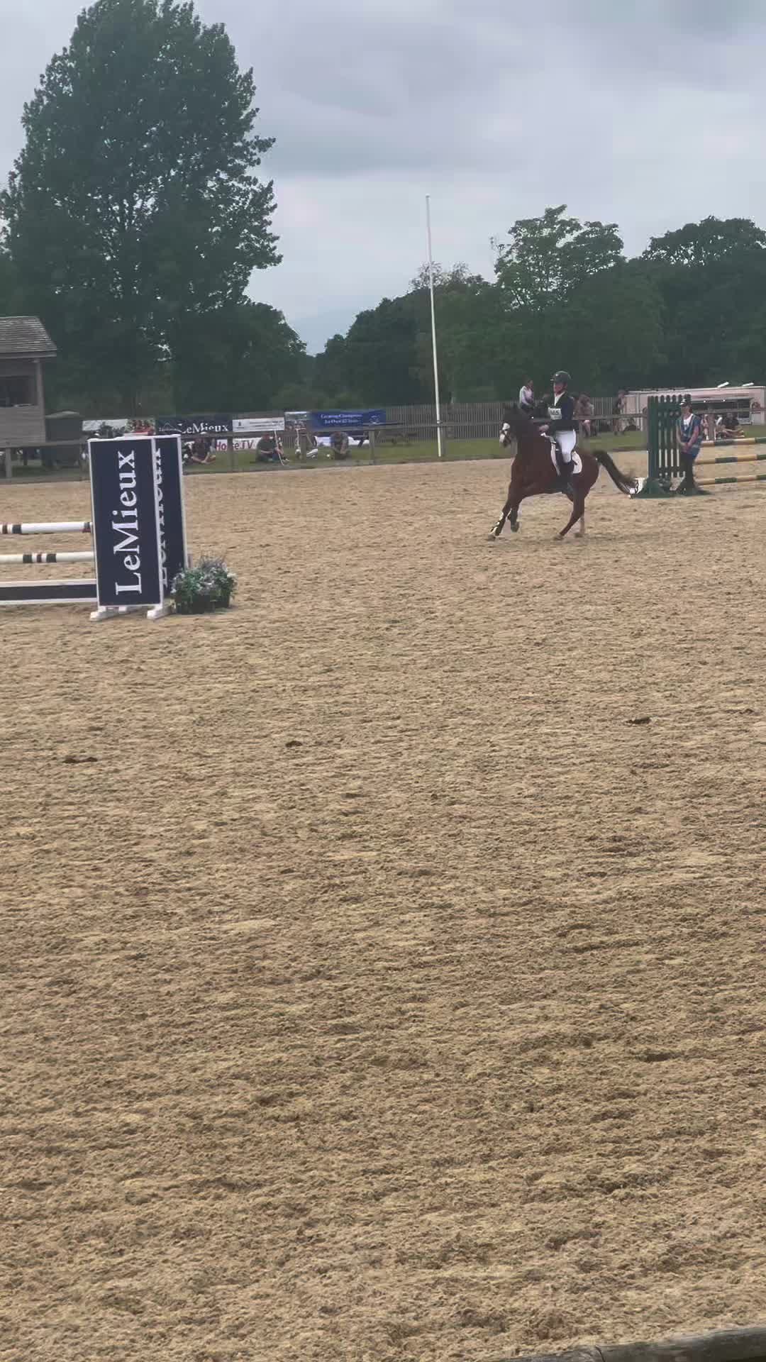 @amelia_showjumping2