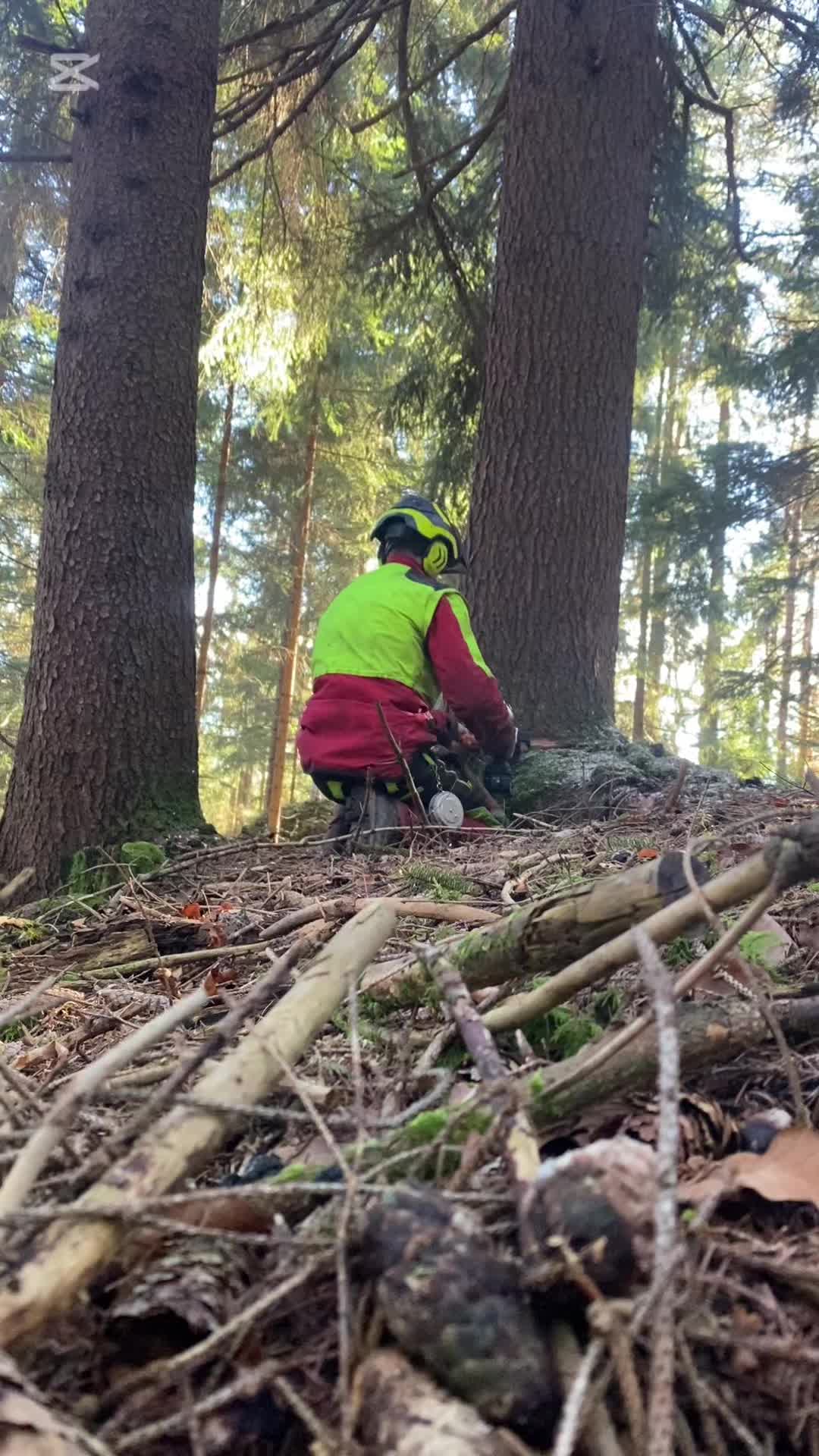@Holz-Kutscher-Max