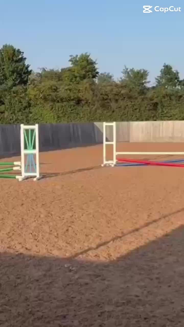 @kiki_and_kicks