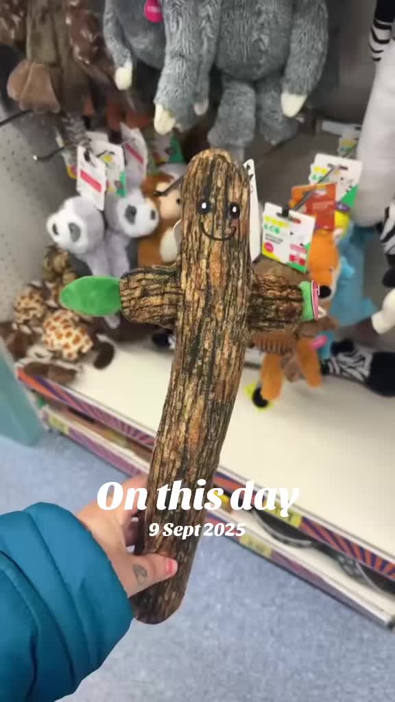 @Jessica-Rose💙🤍GTI 👻 Makaton