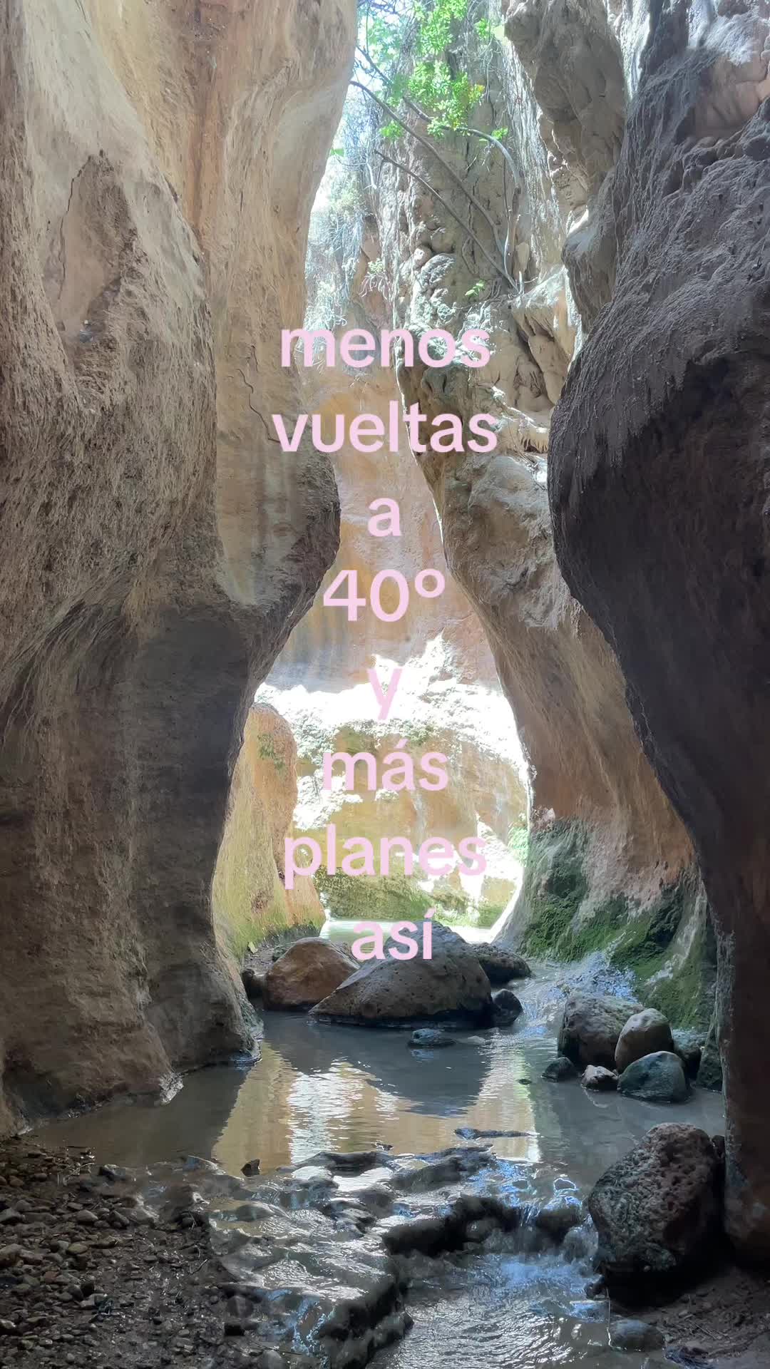 @elena⁷