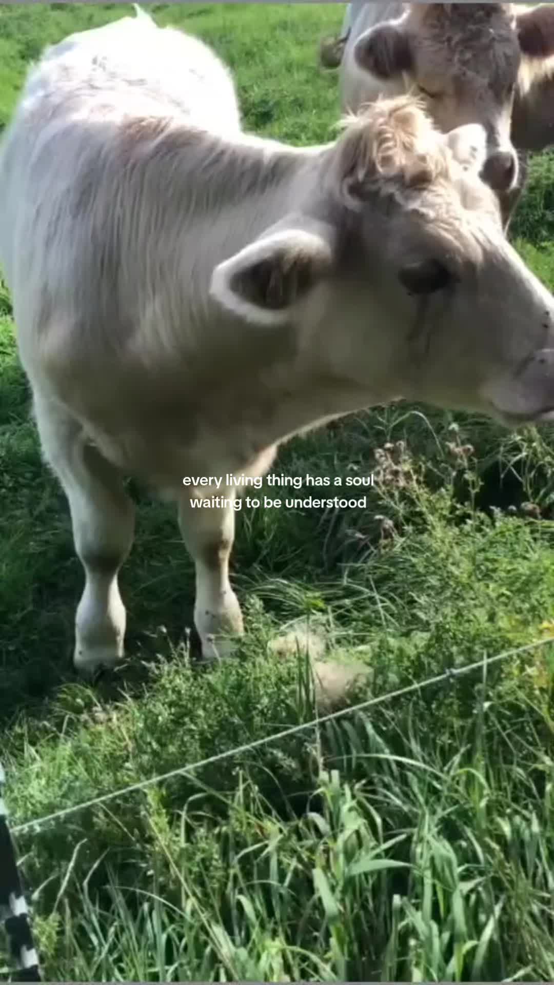@taterrr