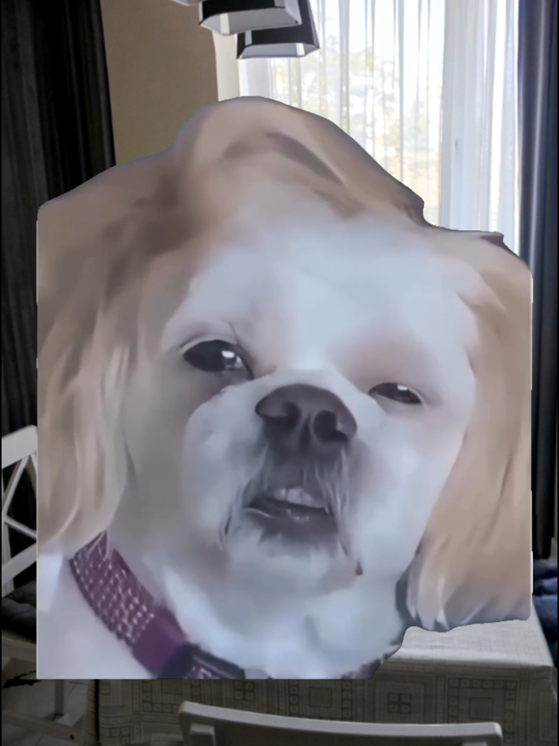 @🇩 🇦 🇳 🇮 🇪 🇱