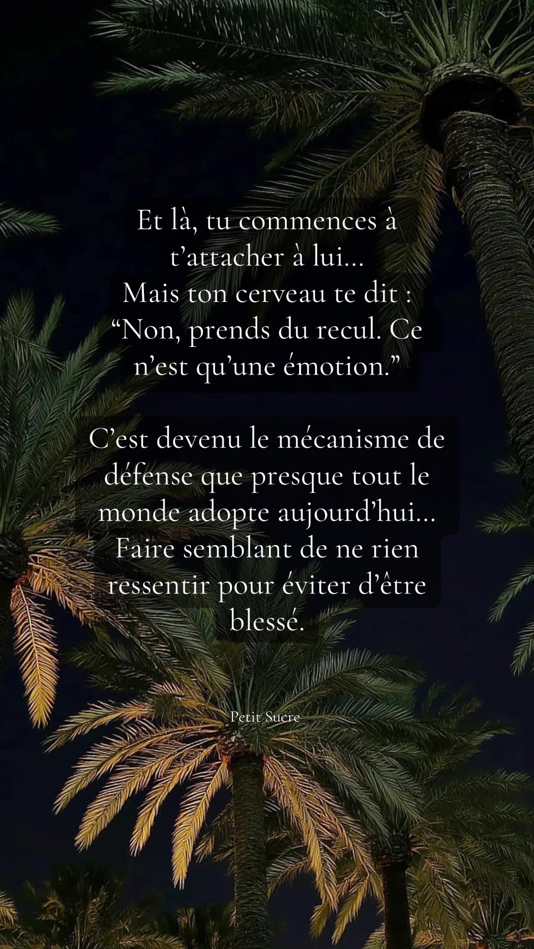 @L’Arche de Petit Sucre ౨ৎ.