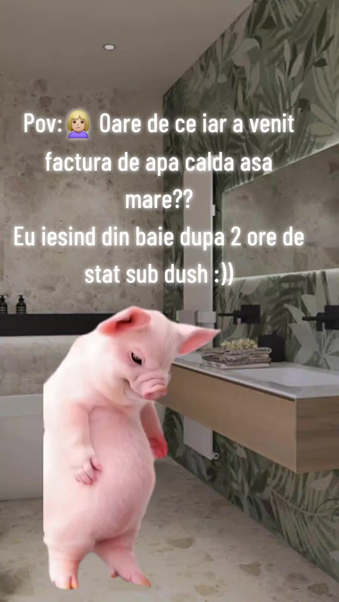@Mosii