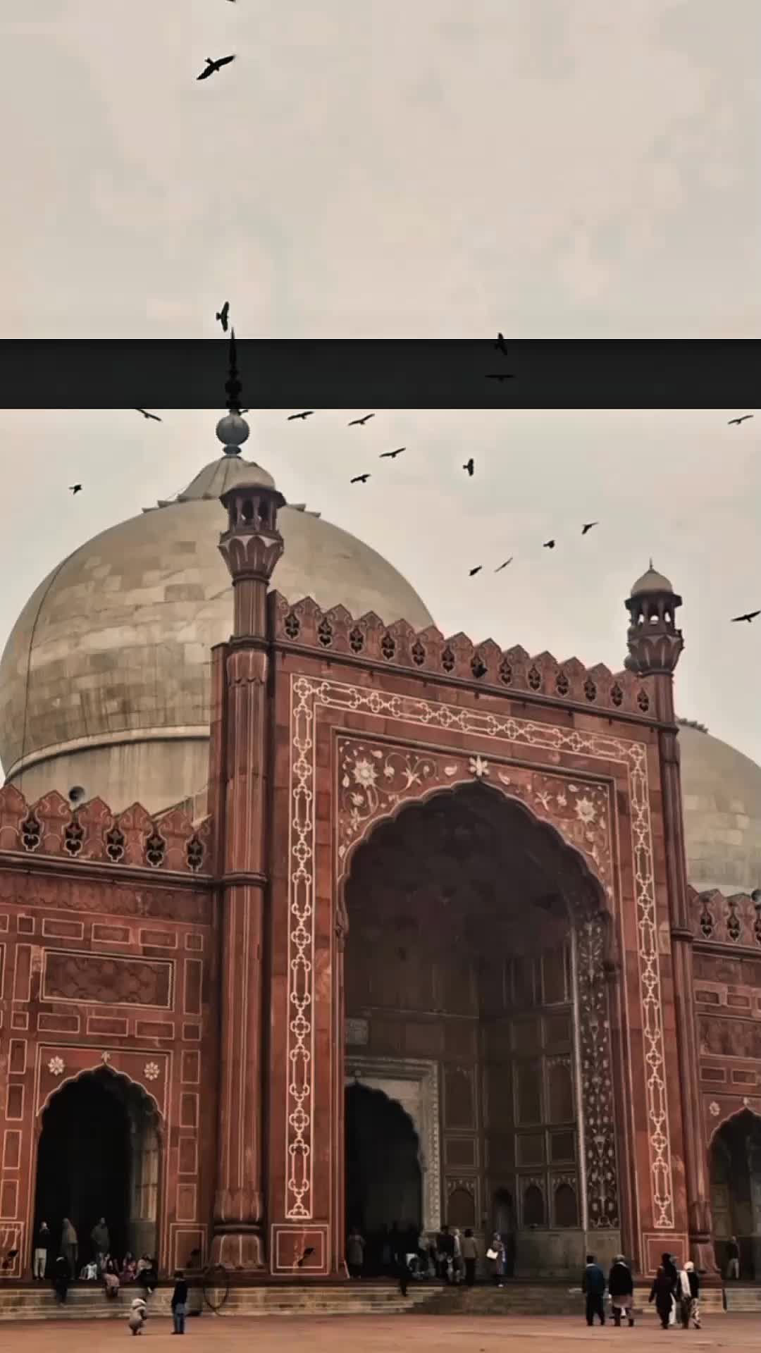 @𝙍𝙞𝙯𝙫𝙞 ♡