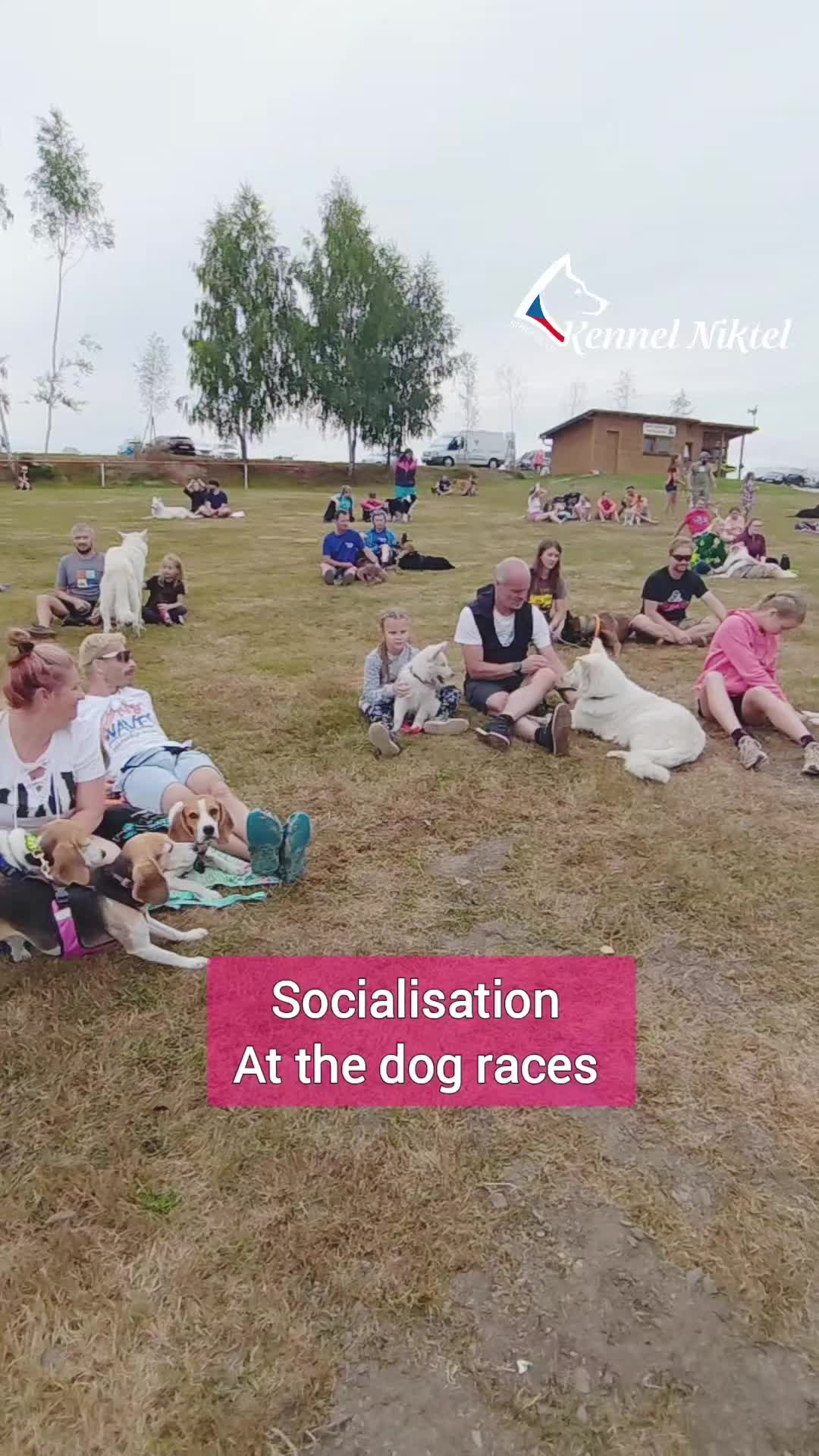 @Kennel Niktel