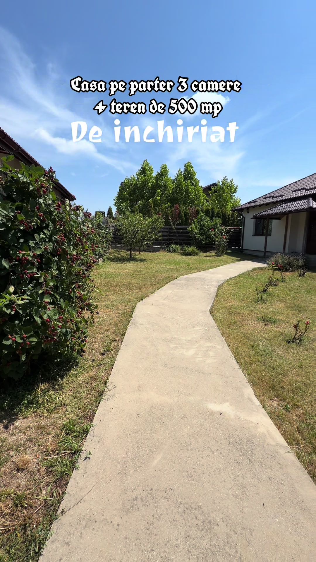 @Alina