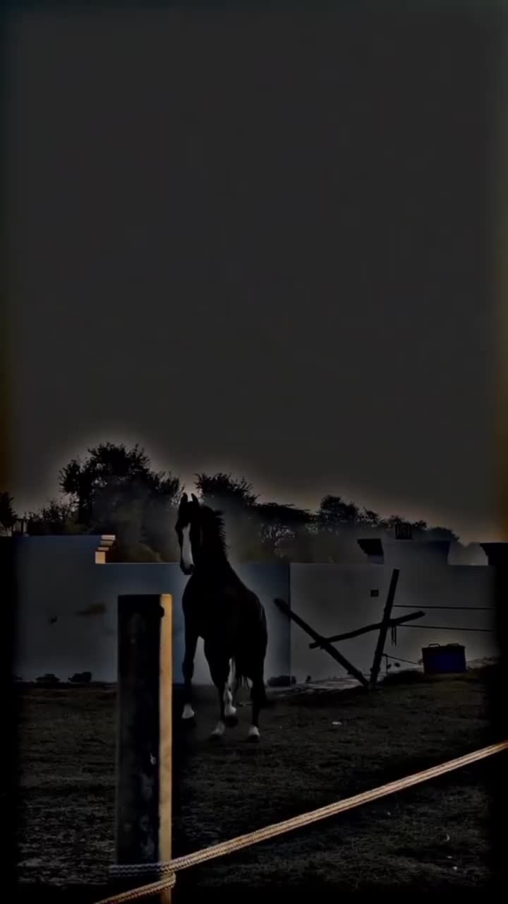 @⫸𝙈𝙞𝙍𝙯𝘼✫𝙎𝙖𝙍𝙆𝙖𝙍✫⫷