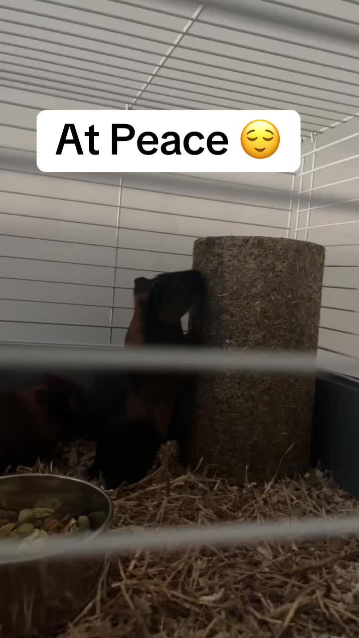 @MKPrice24