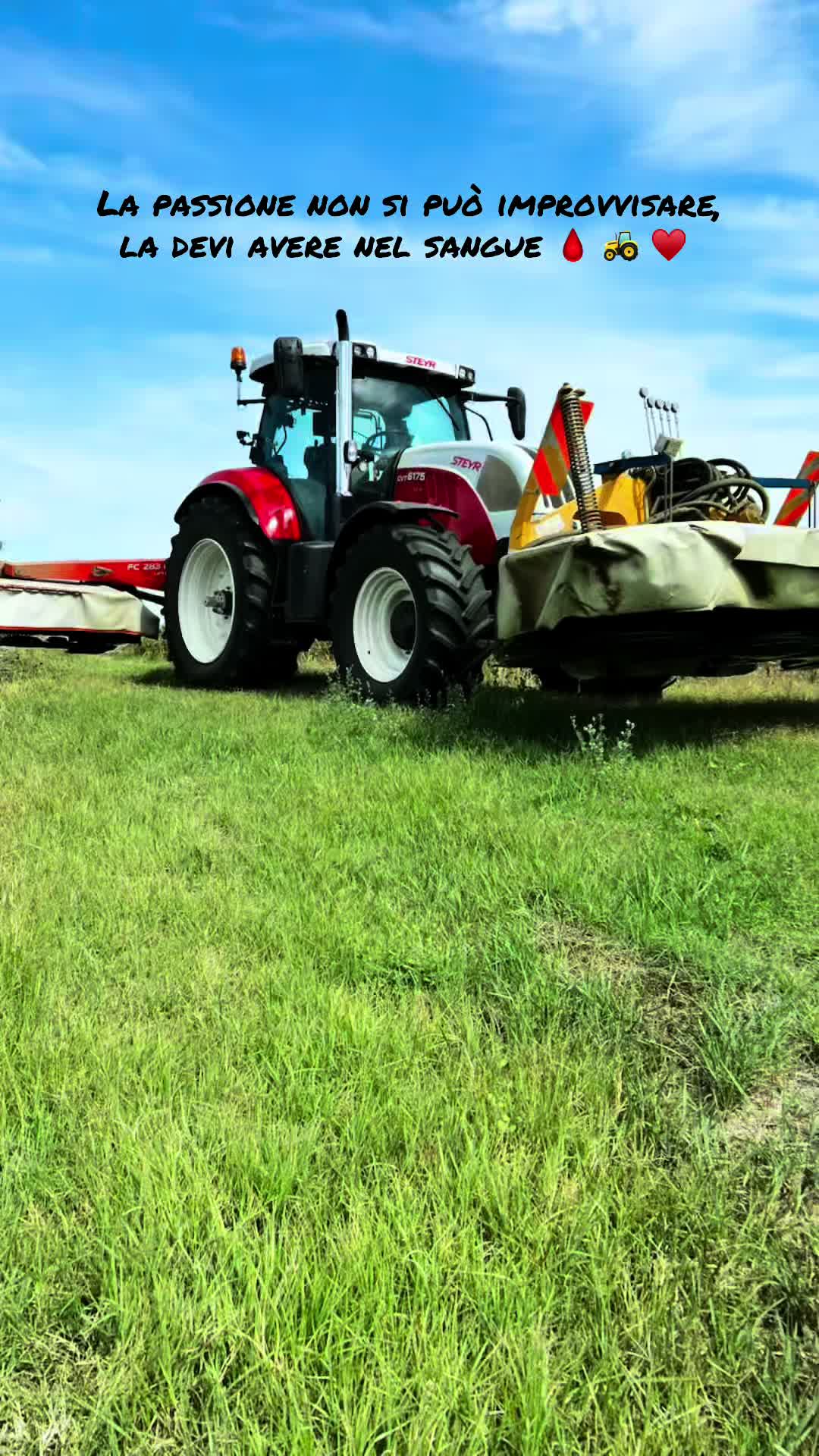 @Mirko Farmer