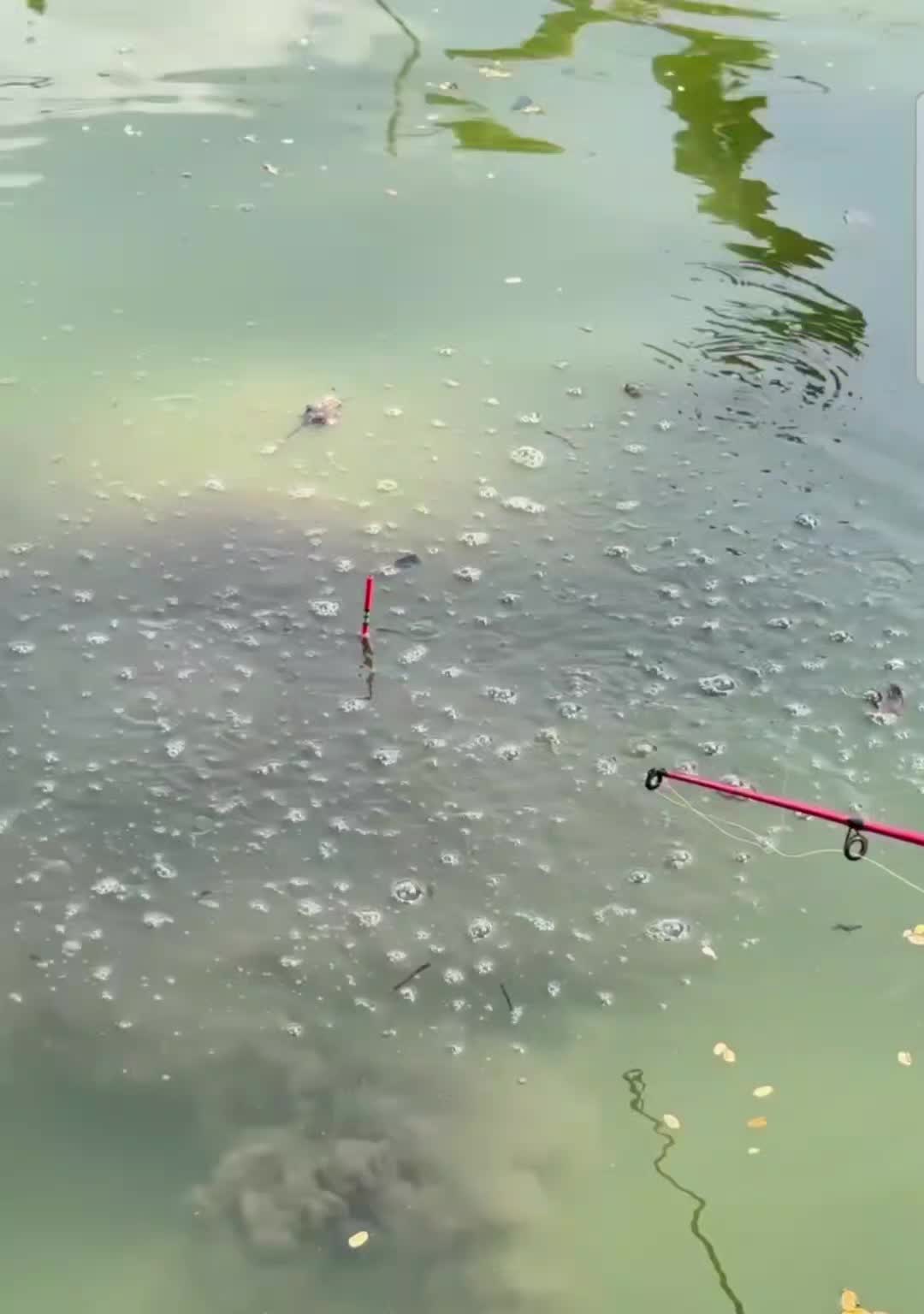 @fishing