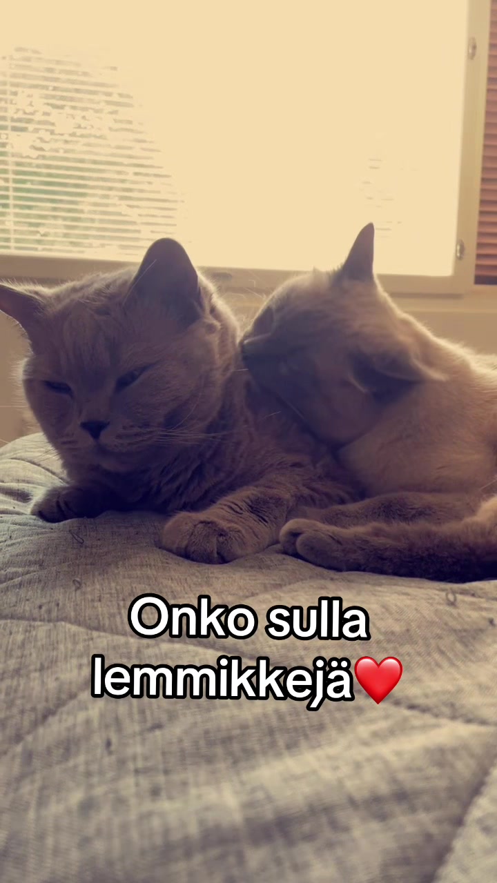 @Darknes;