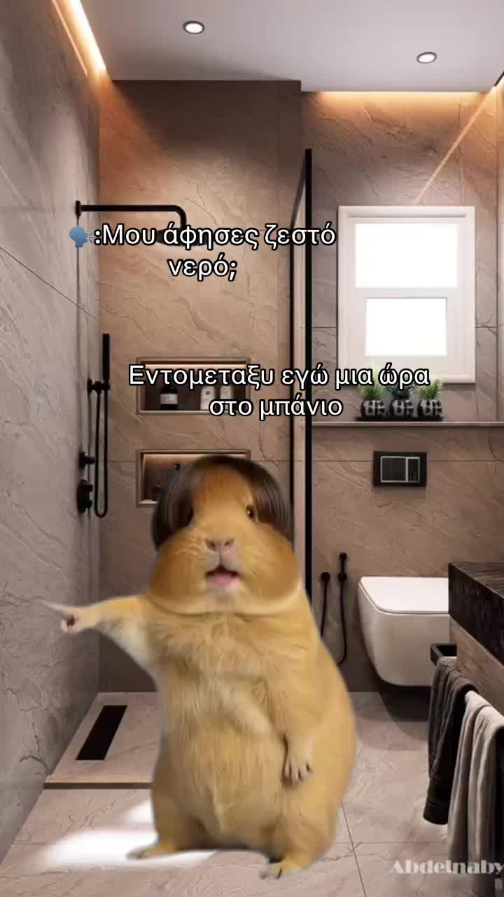 @🤷🏽♀️