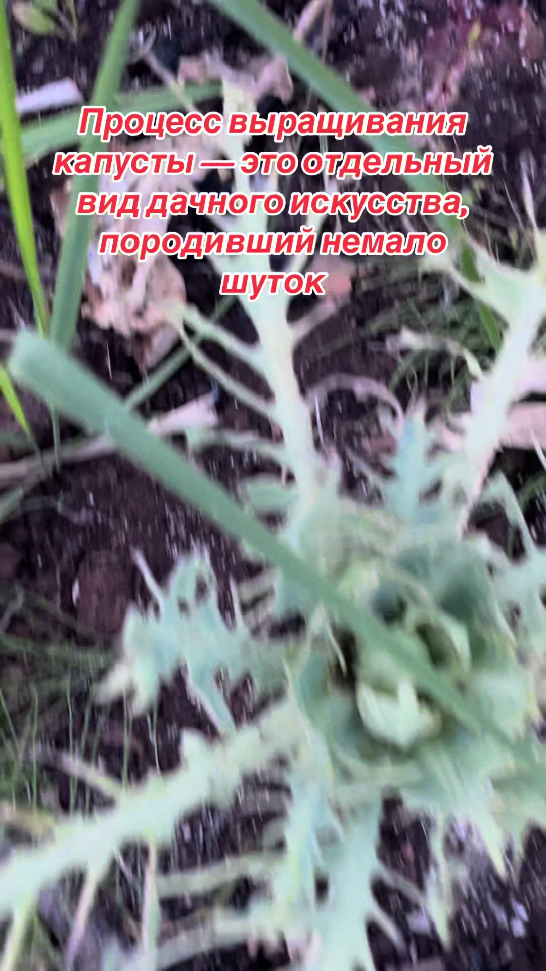 @Марина👑Отаровна💖