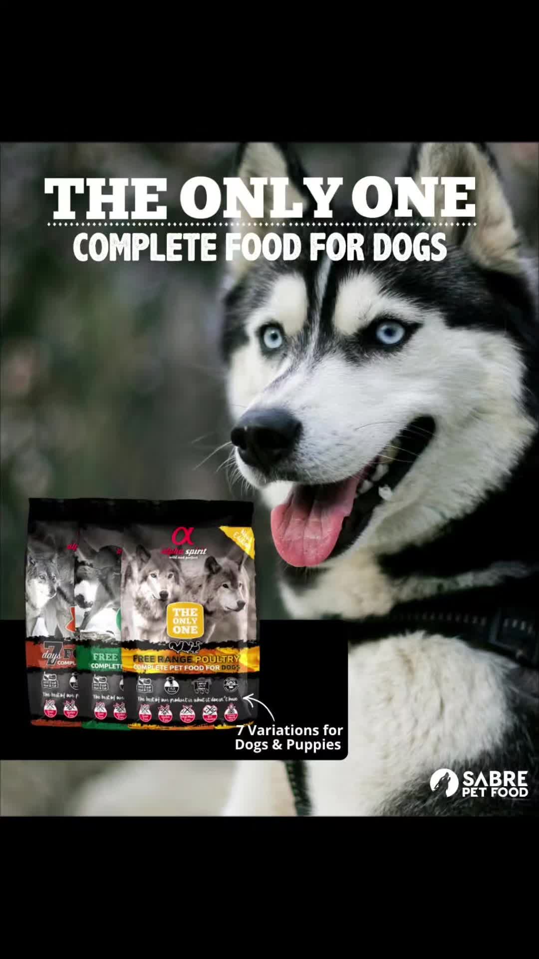 @The North East Pet Shop