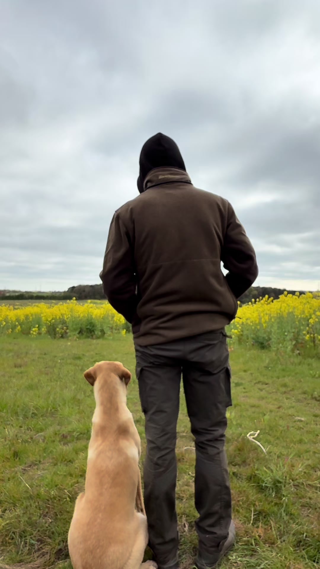 @slingleygundogs